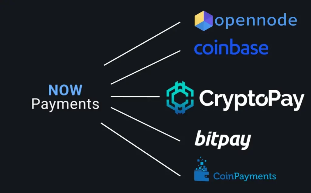 nowpayments-alternatives-cryptocurrency-payments