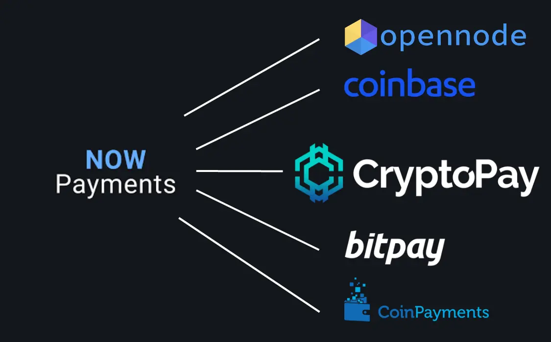 NOWPayments alternatives cryptocurrency payments
